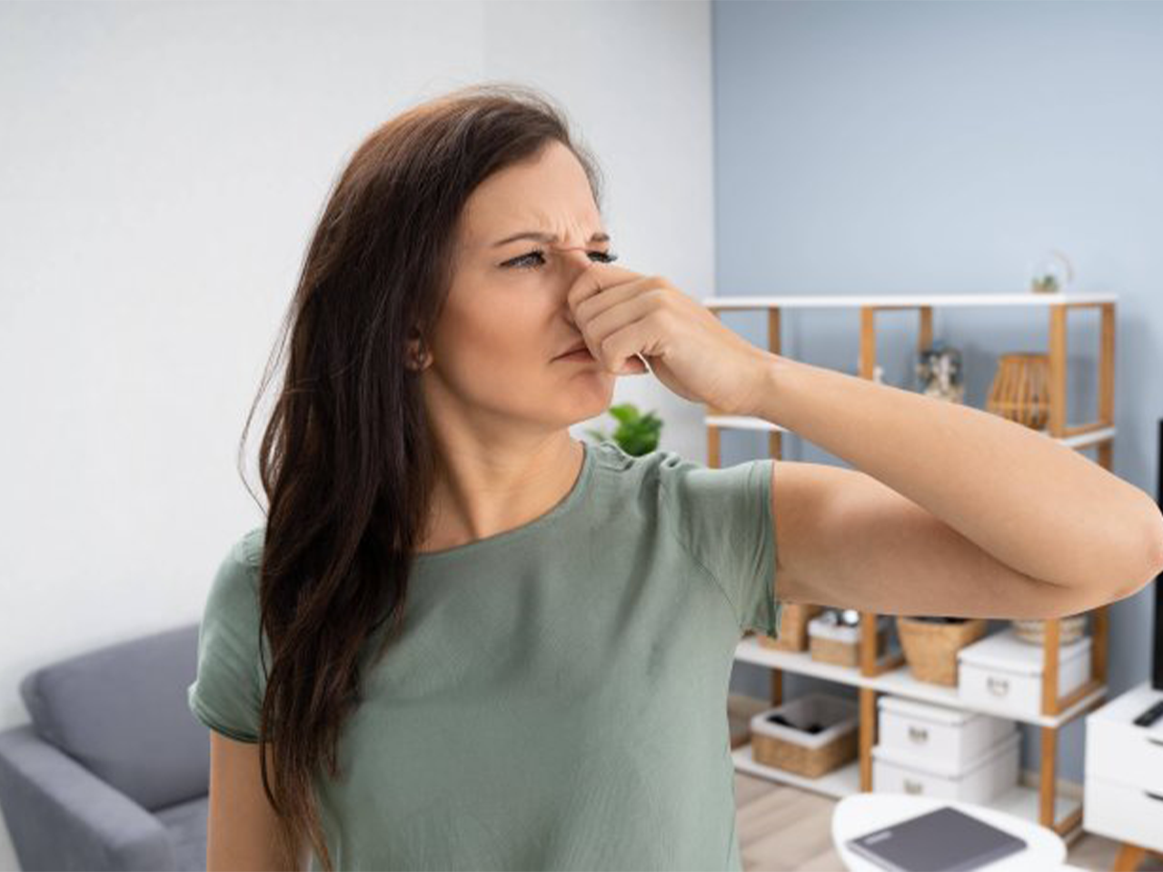 Ihr Hund stinkt? So werden Sie den Haustiergeruch los.