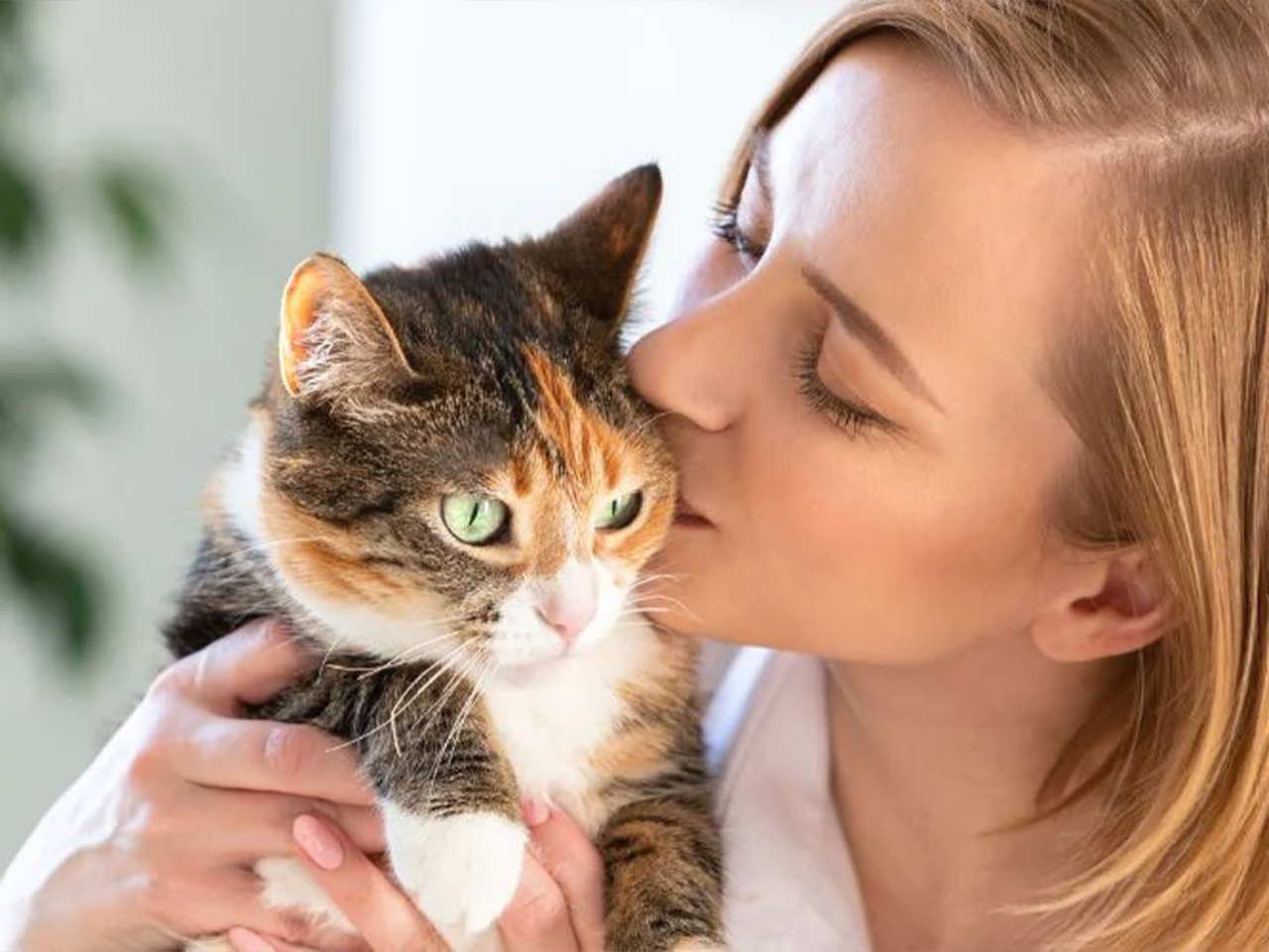 Diese Parasiten gehen von Hund & Katze auf Menschen