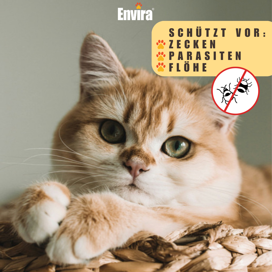 ENVIRA Pet-Protect-Spray (Hautspray gegen Mücken, Zecken, Flöhe)