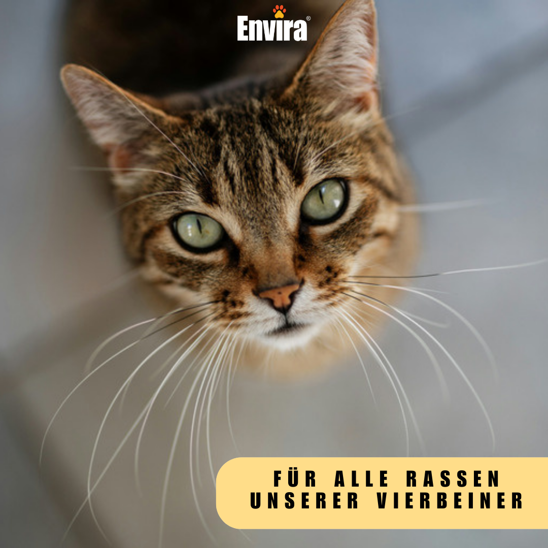 ENVIRA Anti-Floh Trockenshampoo